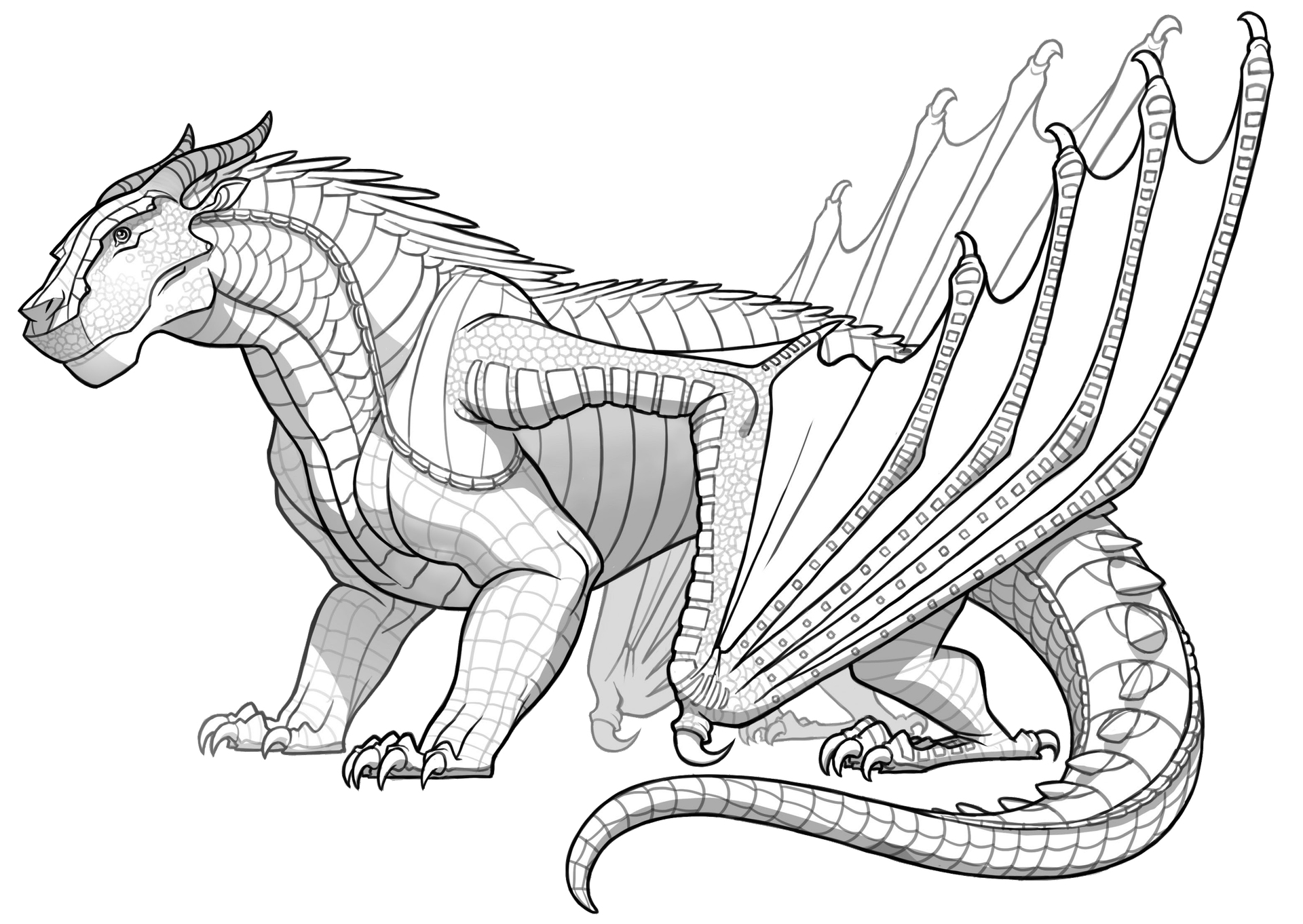 wings of fire colouring pages