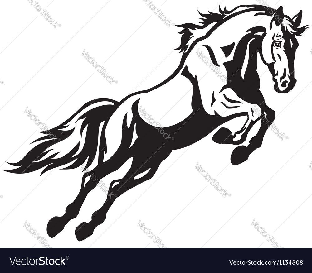 horse vector images