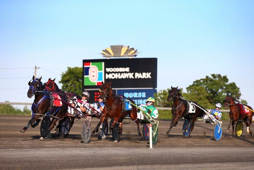 mohawk woodbine results