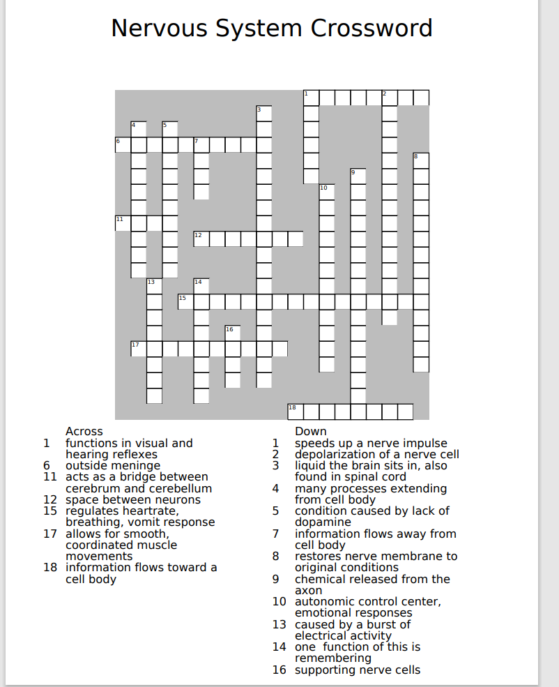 relating to the nervous system crossword clue