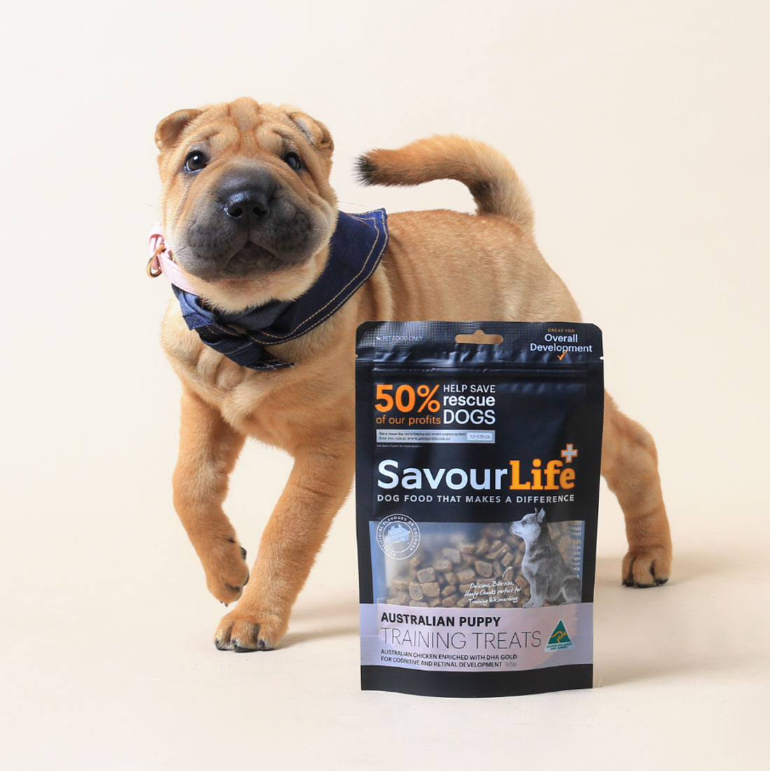 savour life adopt a dog