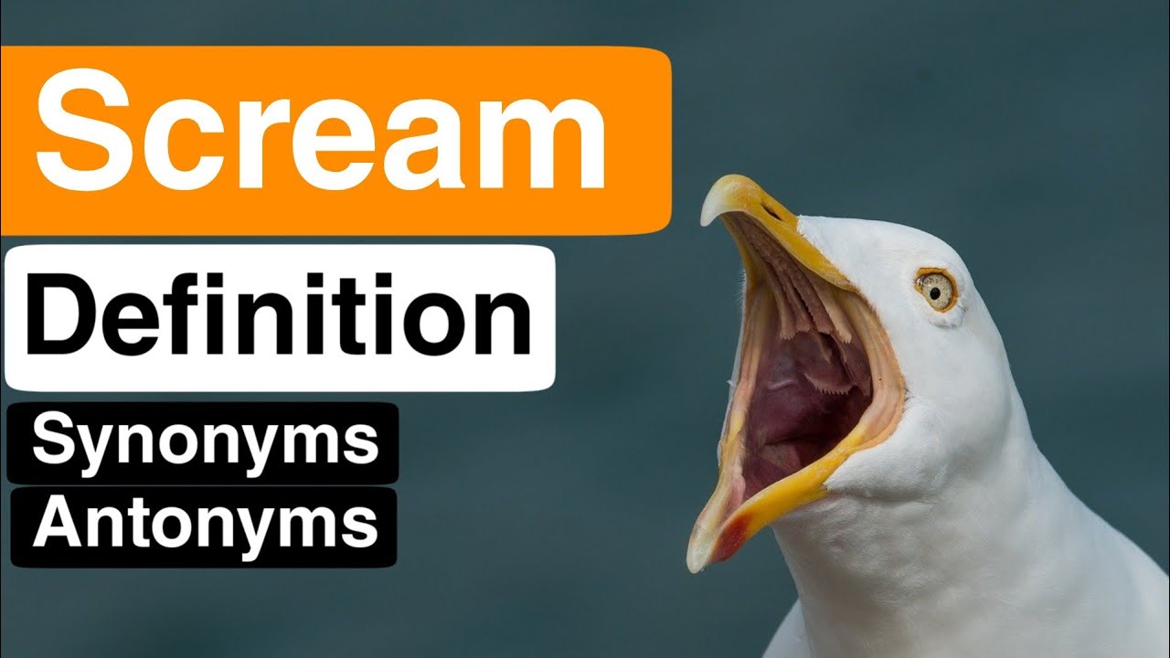 scream synonyms in english