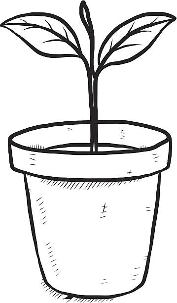 pot clipart black and white