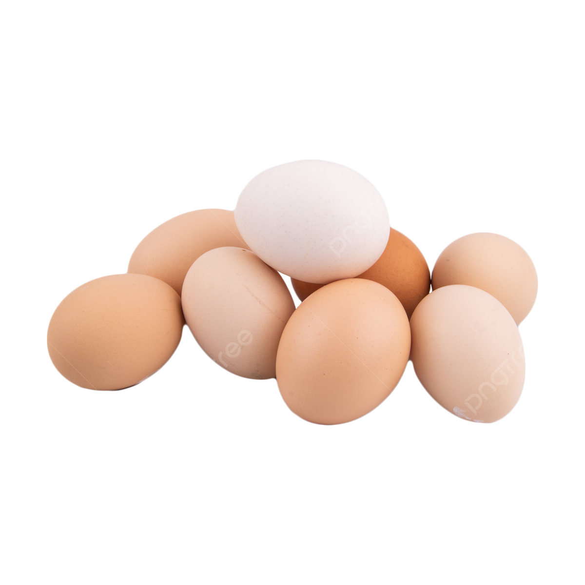 egg png