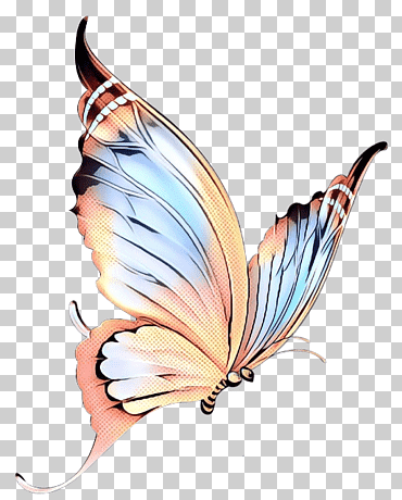 vintage mariposas png