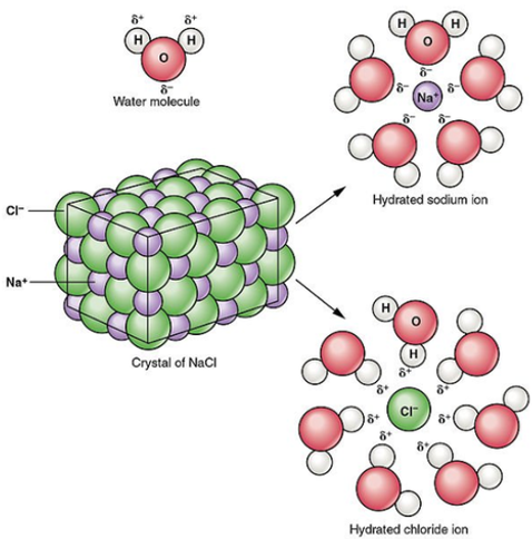 ionic compounds are soluble in water