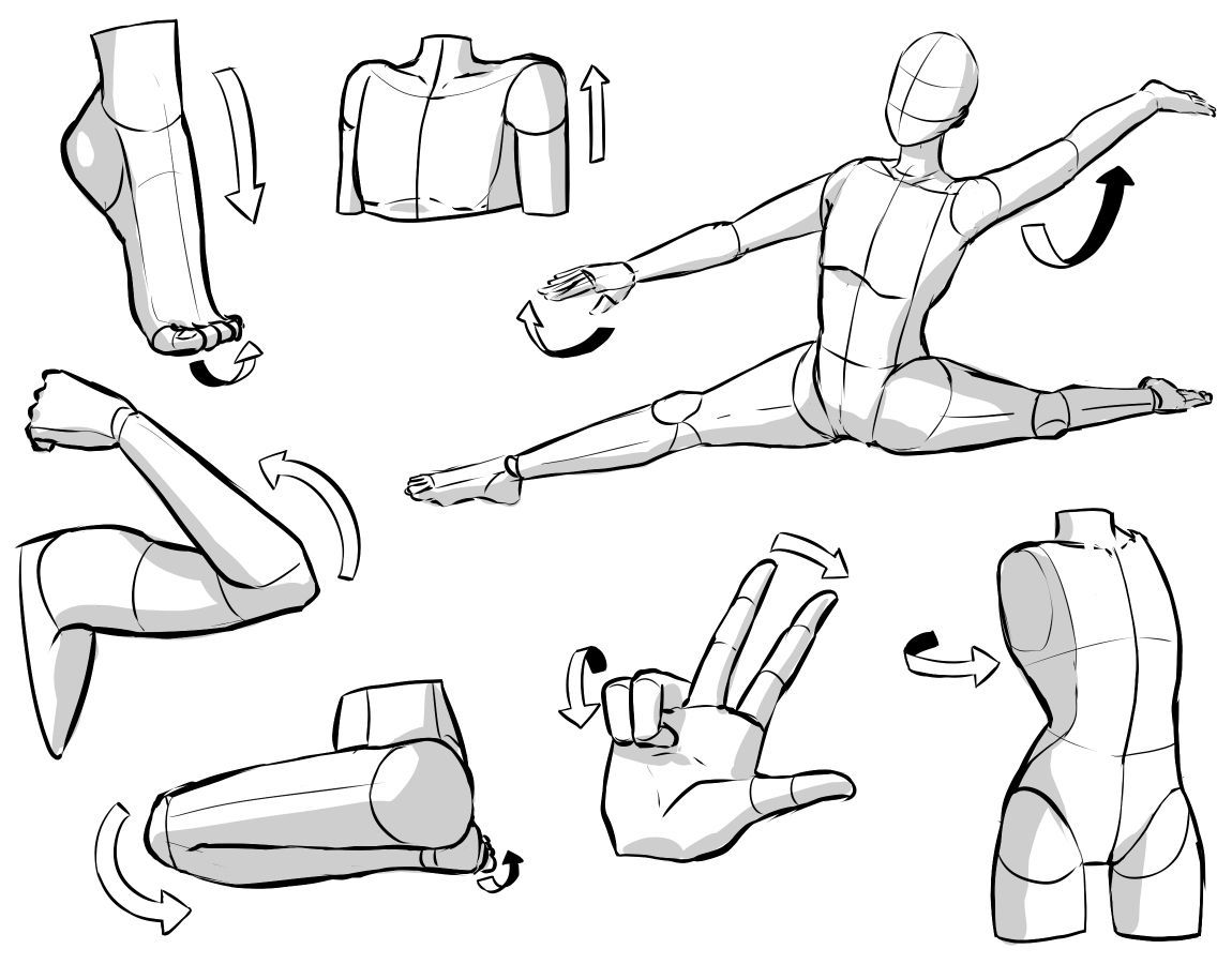 drawing body poses