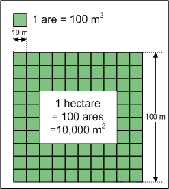 how many square meters in a hectare