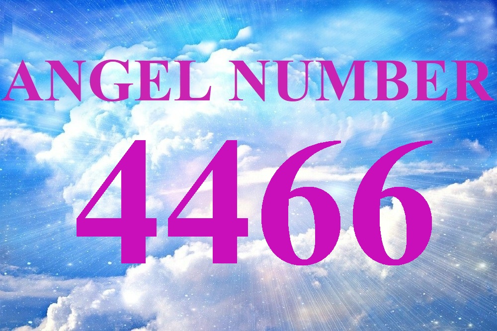 4466 angel number