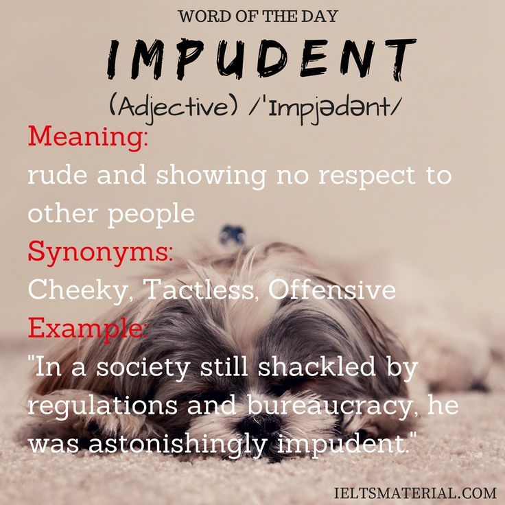 impudent meaning