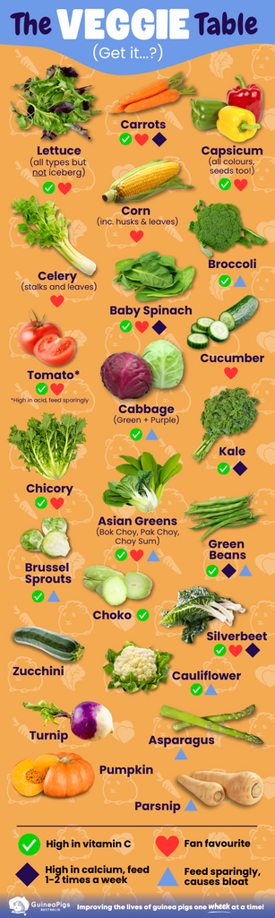 chart what do guinea pigs eat