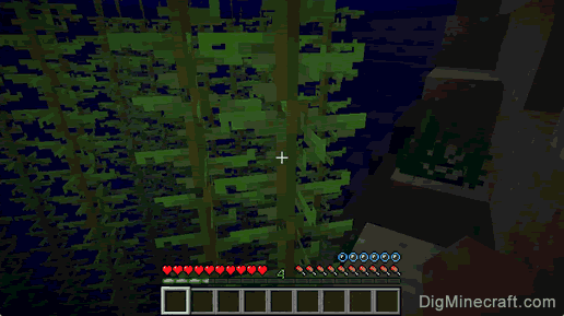 how to get kelp in minecraft