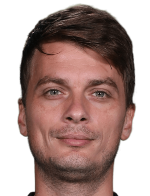 adem ljajic