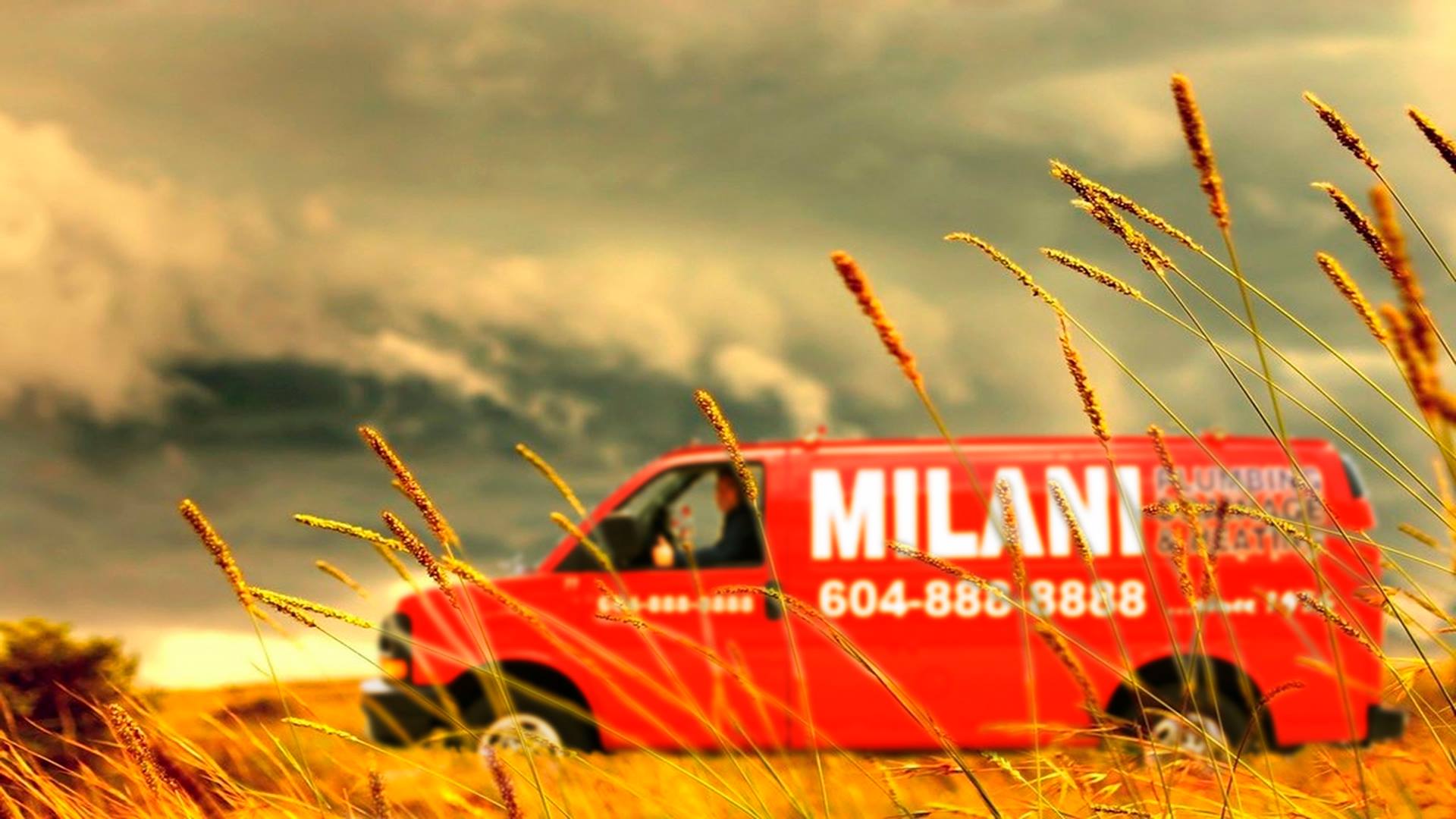 milani plumbing