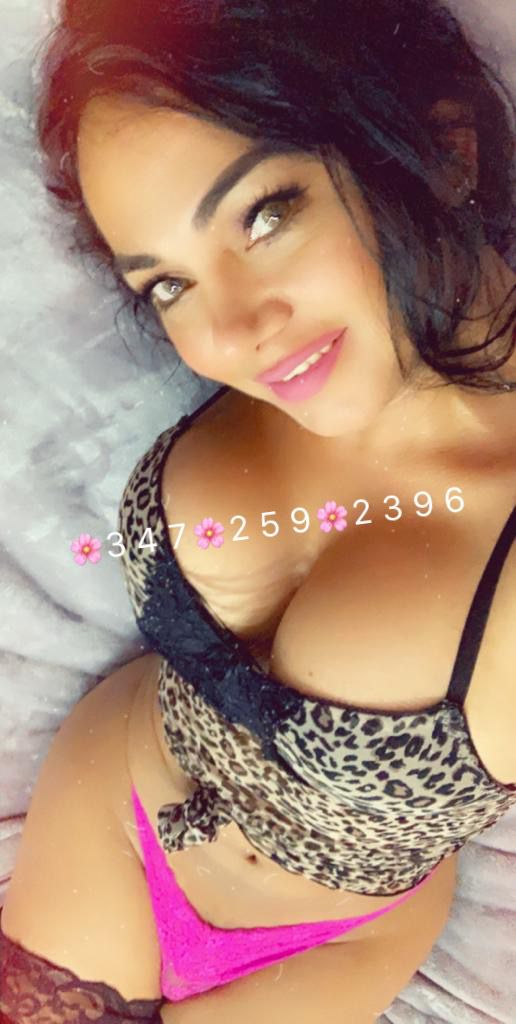 shemale escort bronx