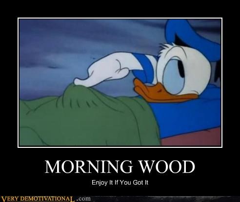 morning wood meme