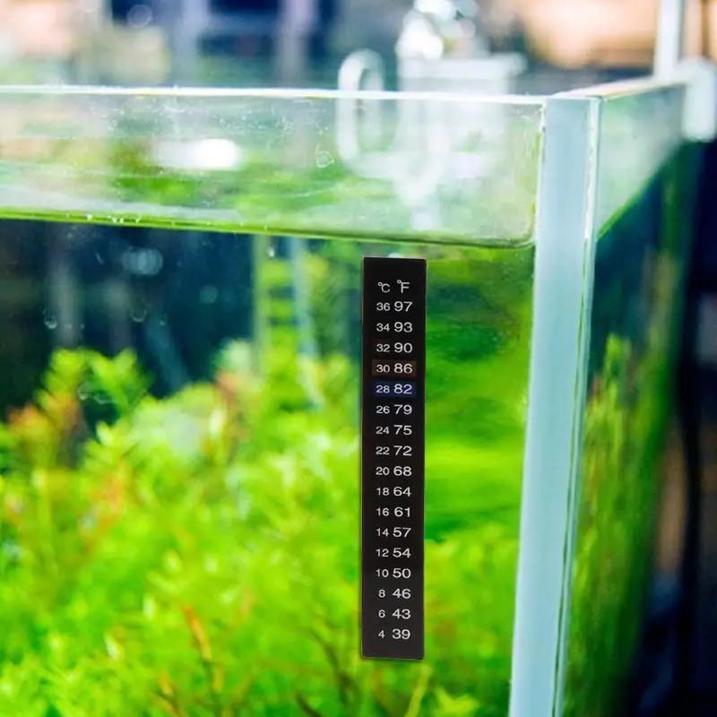 fish tank thermometer strip