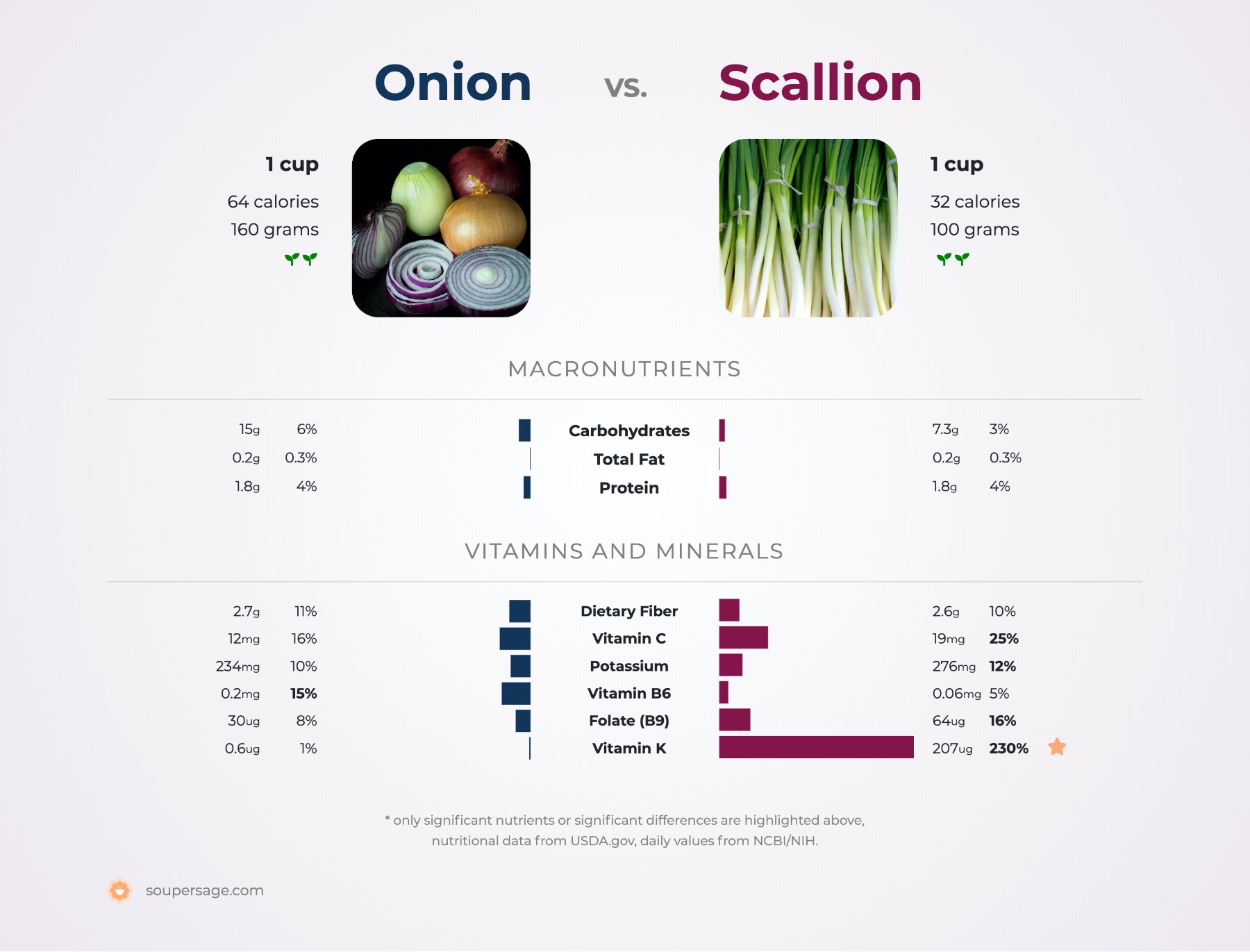 spring onion nutritional information