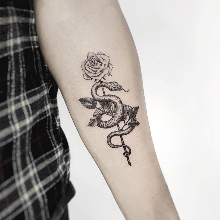 snake and rose tattoo