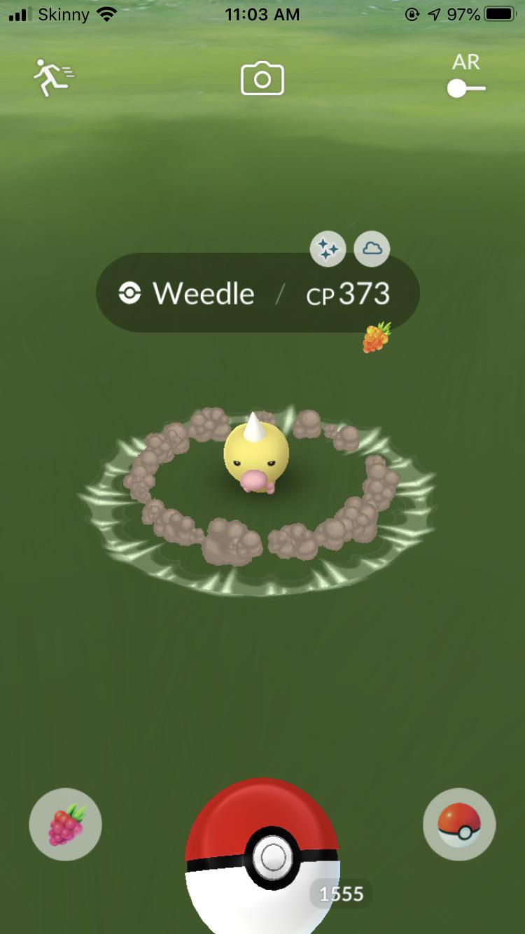 shiny weedle