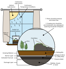 terrarium meaning in hindi