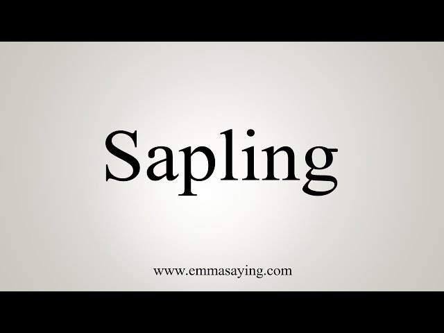 sapling pronunciation