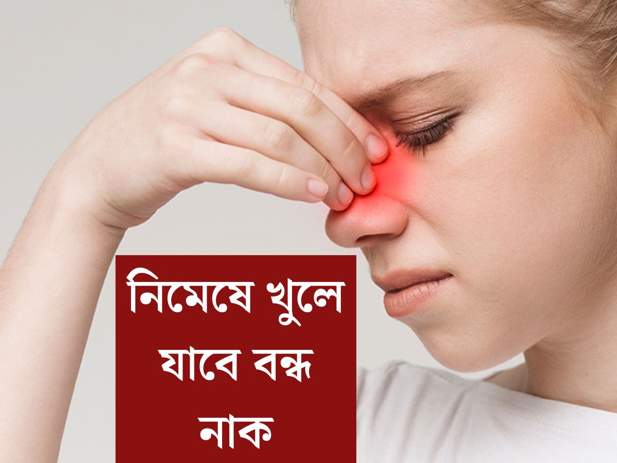 stuffy nose meaning in bengali