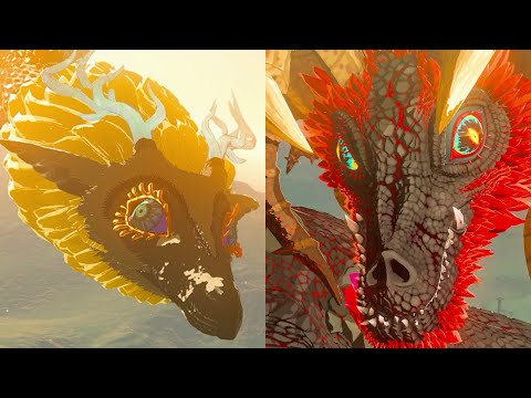 ganondorf dragon