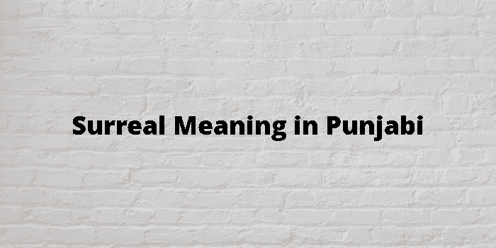 surreal meaning in punjabi