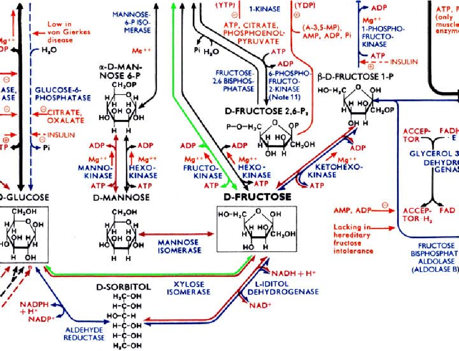 byupathways