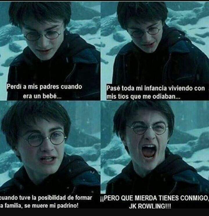 meme de harry potter