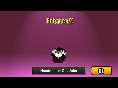 professor cat jobs