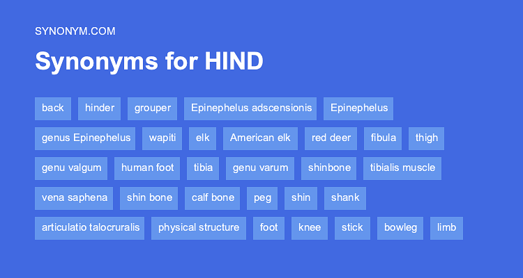 synonyms for hinder