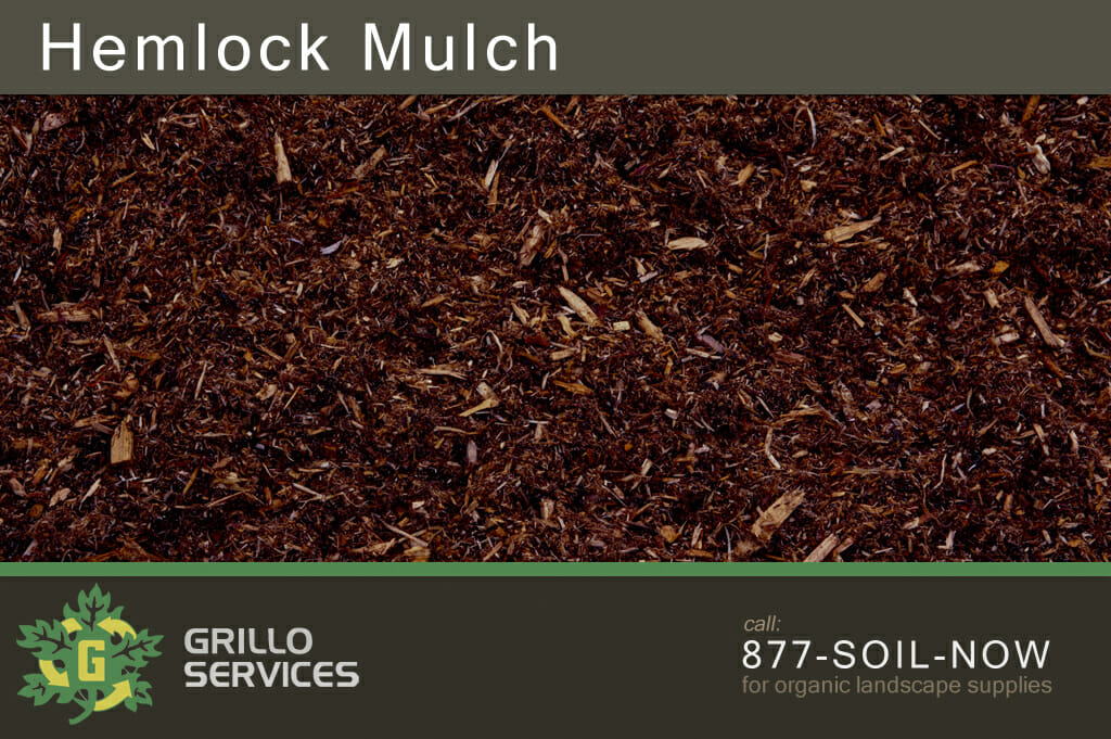 hemlock mulch near me