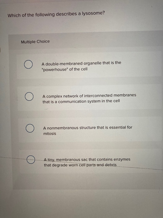 which of the following describes a lysosome