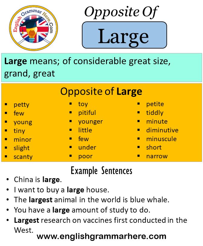 antonyms of large