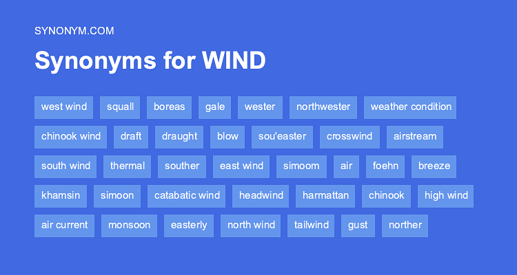 synonyms for wind