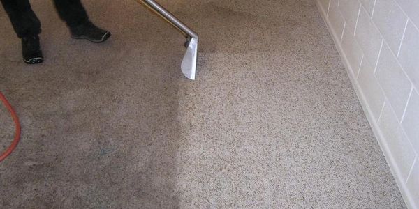 carpet cleaning mount isa