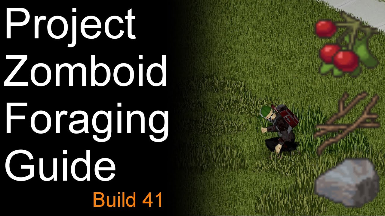 project zomboid foraging