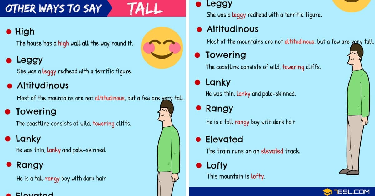 synonyms of taller