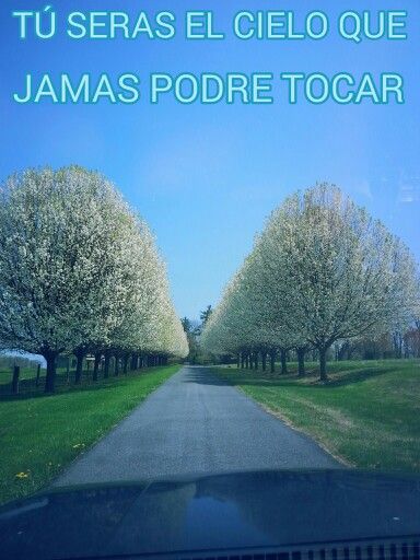 eres el cielo que jamas podre tocar