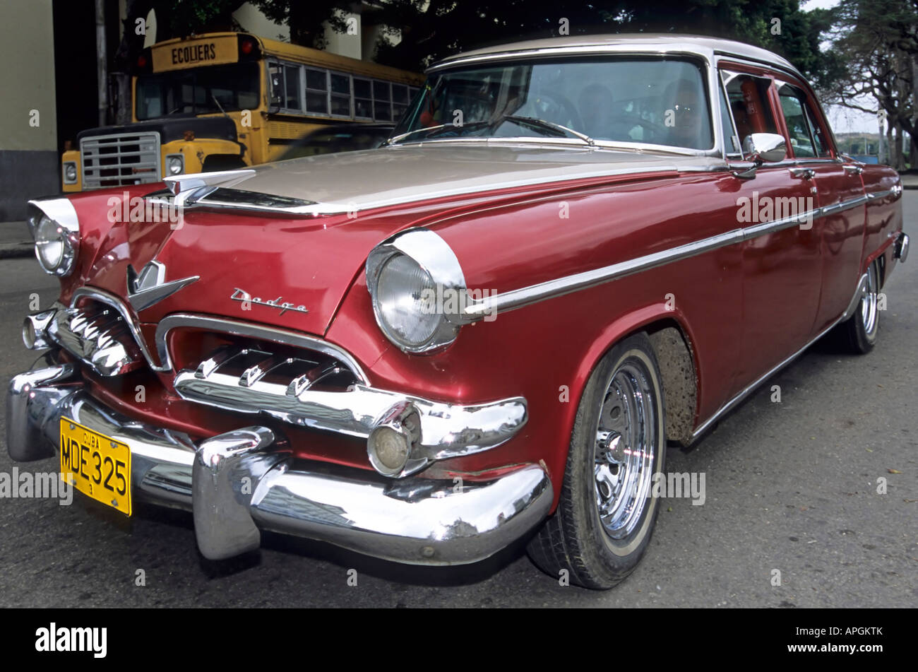 1955 dodge royal