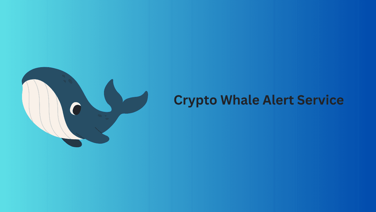 whale alerts