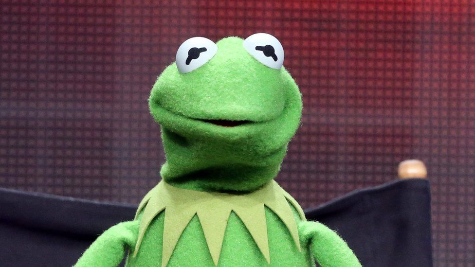 kermit the frog meme