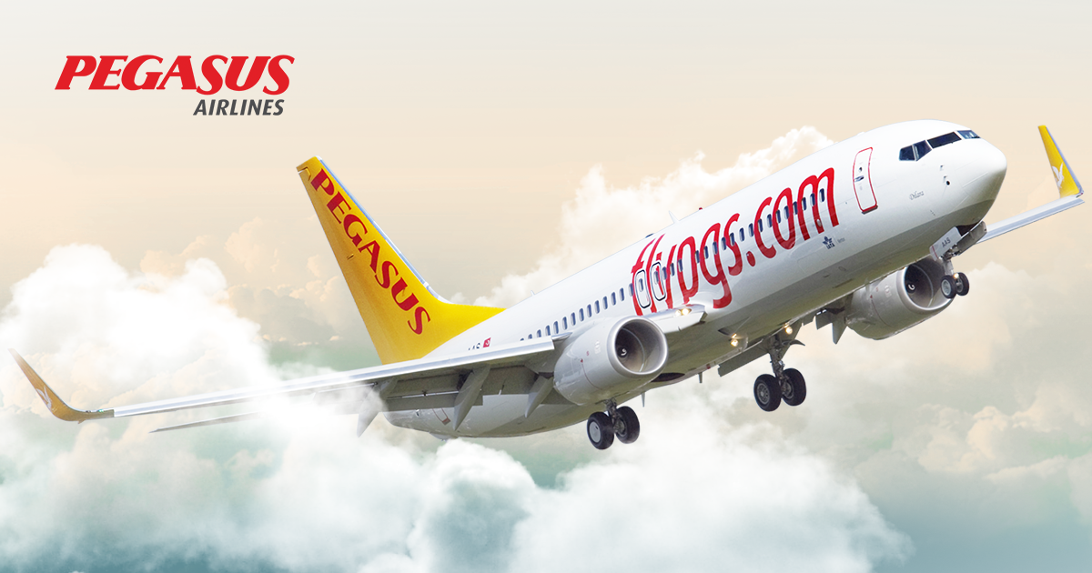 pegasus airlines check-in