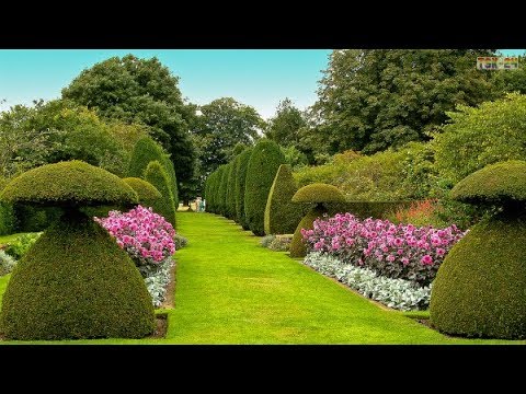 4k hdr video beautiful flower garden in canada