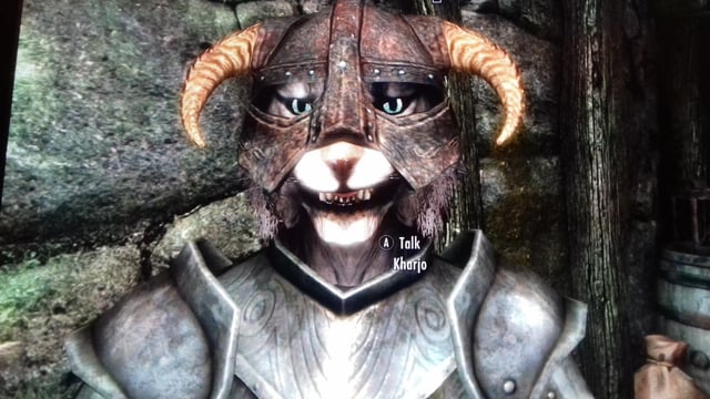 follower lost skyrim