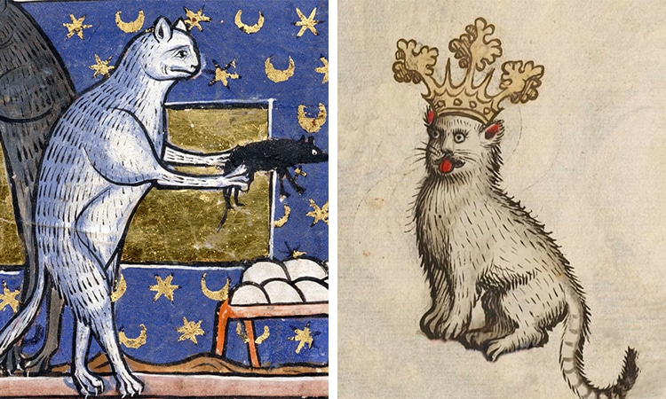 medieval cat paintings