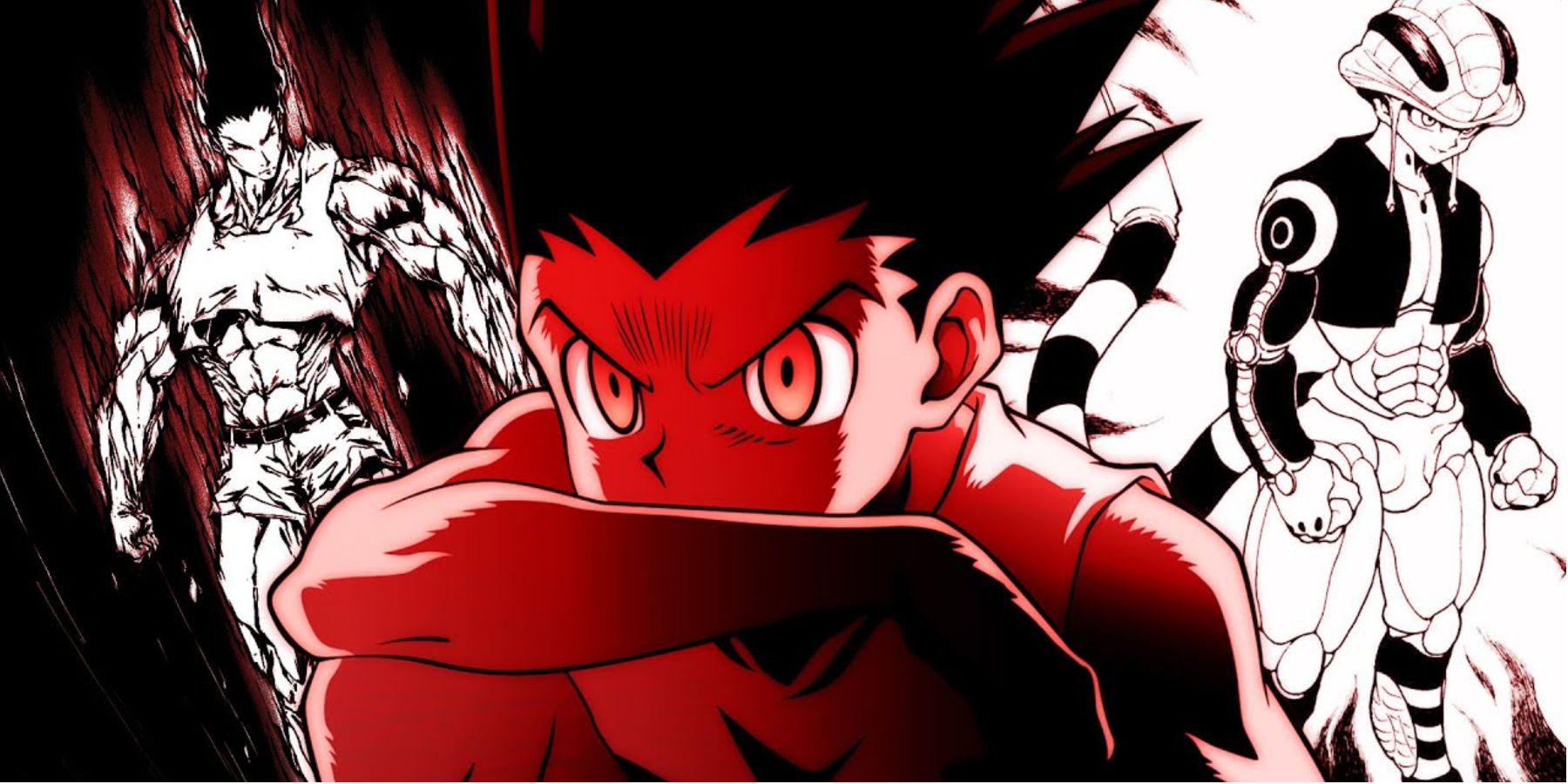 hxh gon transformation