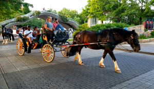 carriage rides chattanooga tn